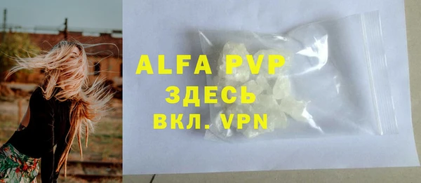 a pvp Белокуриха