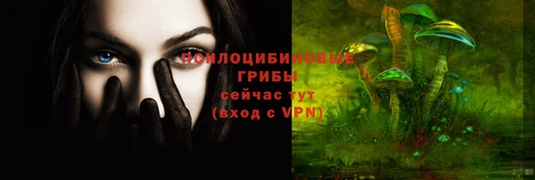a pvp Белокуриха