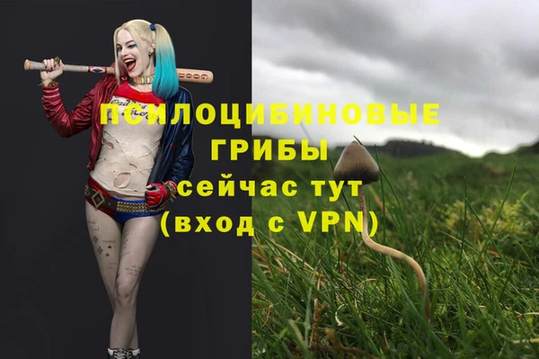 2c-b Беломорск